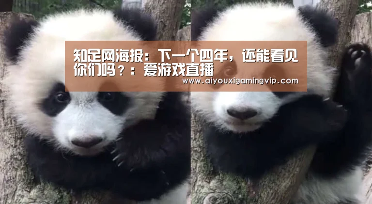 知足网海报:下一个四年,还能看见你们吗?:爱游戏直播(图2) 爱游戏娱乐