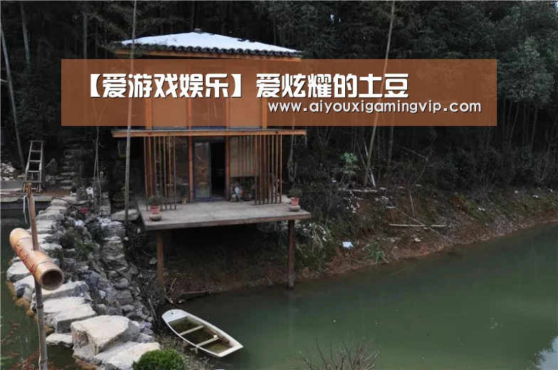 爱游戏直播