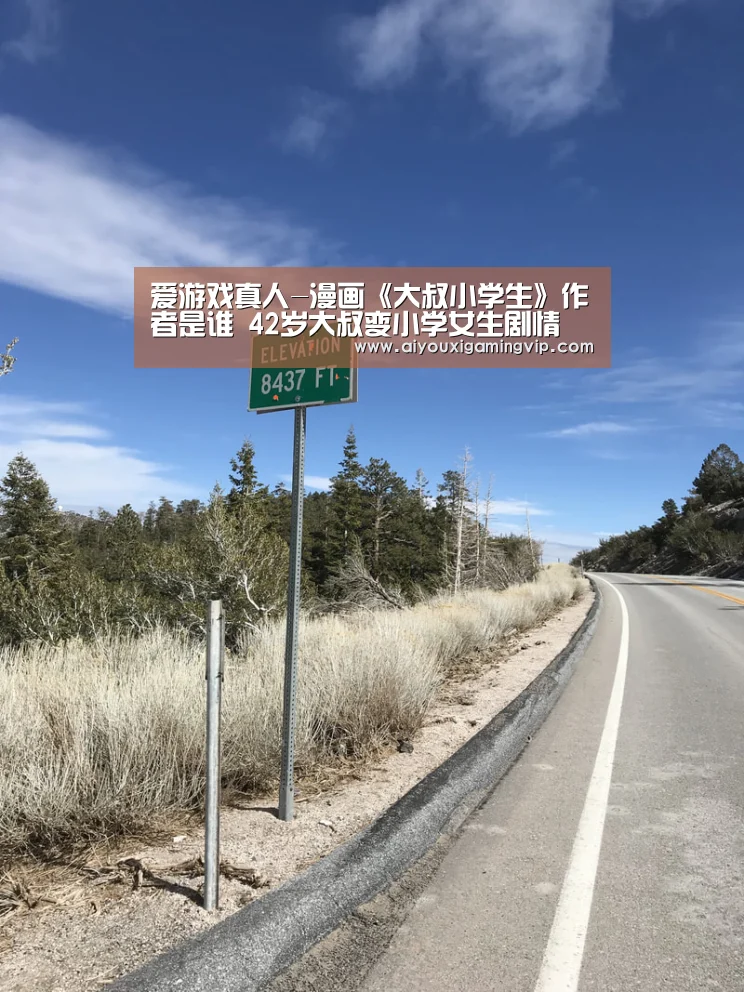 爱游戏真人