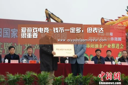 爱游戏电竞-钱不一定多,但表达很重要(图4) 爱游戏真人