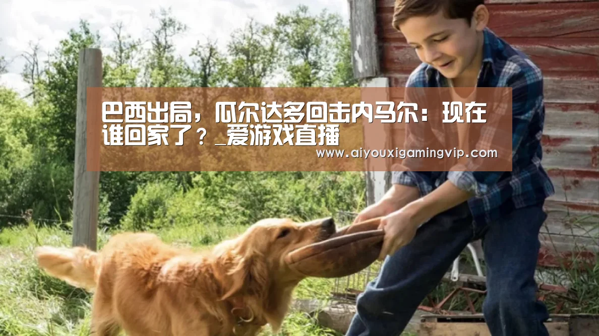 巴西出局,瓜尔达多回击内马尔:现在谁回家了?_爱游戏直播(图2) 爱游戏真人