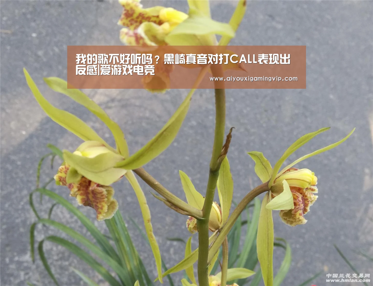 我的歌不好听吗?黑崎真音对打CALL表现出反感|爱游戏电竞(图1) 爱游戏真人